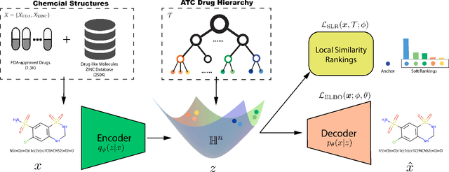 Figure 1 for Semi-Supervised Hierarchical Drug Embedding in Hyperbolic Space