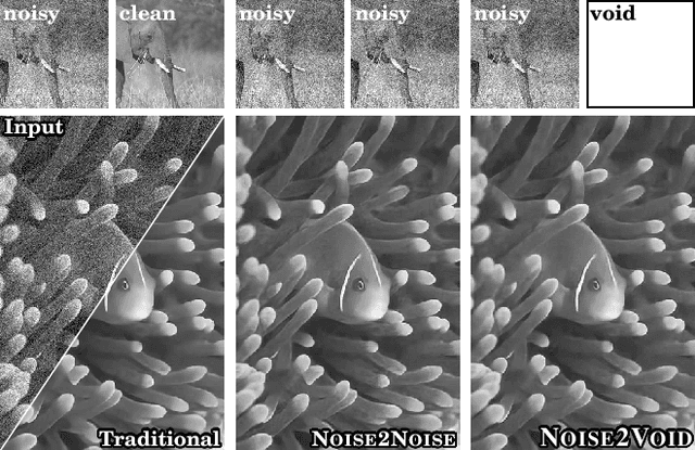 Figure 1 for Noise2Void - Learning Denoising from Single Noisy Images