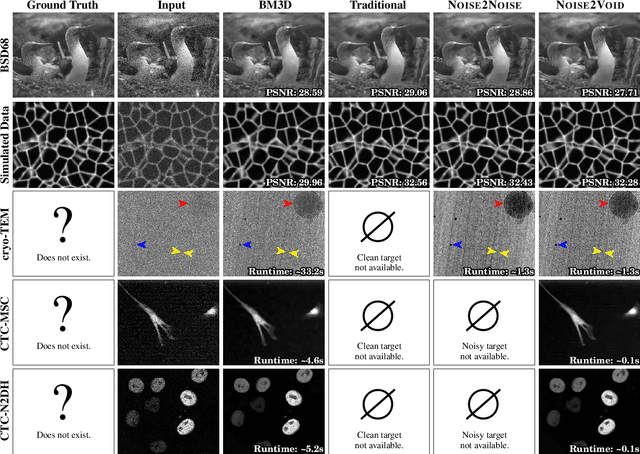 Figure 4 for Noise2Void - Learning Denoising from Single Noisy Images