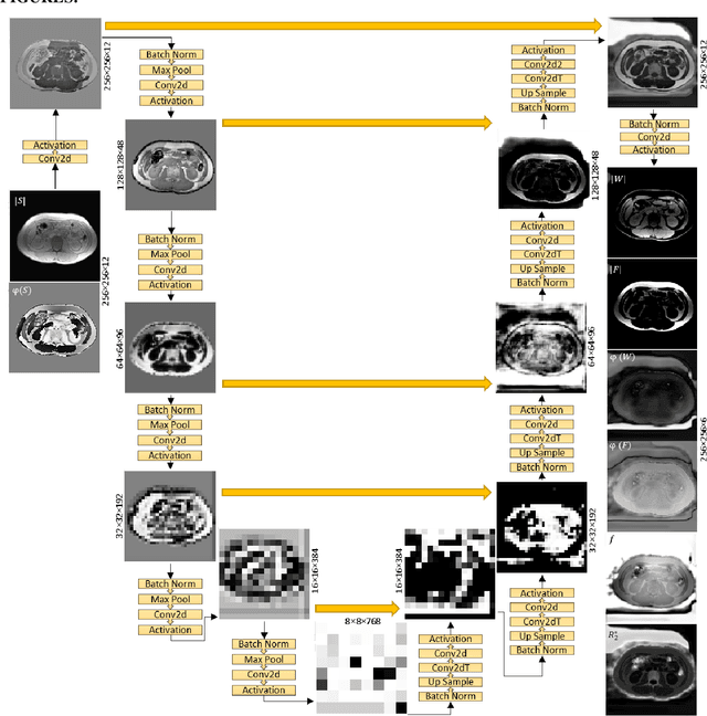 Figure 1 for Deep Neural Network  for Water/Fat Separation: Supervised Training, Unsupervised Training, and No Training