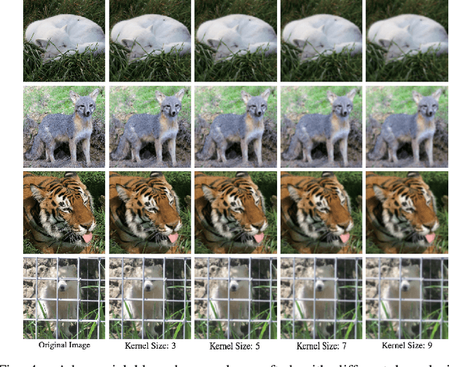 Figure 3 for Deepfake Forensics via An Adversarial Game