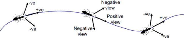 Figure 3 for Autonomous Visual Navigation A Biologically Inspired Approach