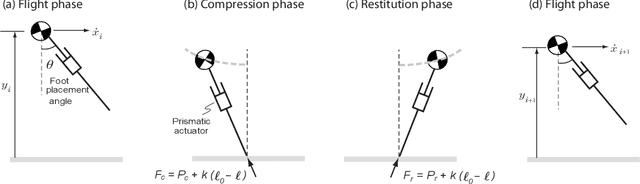 Figure 2 for Switching between Limit Cycles in a Model of Running Using Exponentially Stabilizing Discrete Control Lyapunov Function