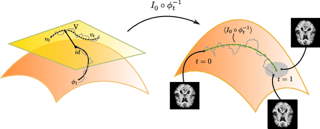Figure 1 for Stochastic Image Deformation in Frequency Domain and Parameter Estimation using Moment Evolutions