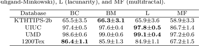 Figure 4 for Fractal measures of image local features: an application to texture recognition