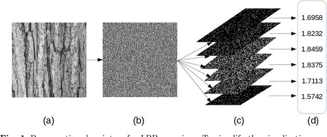 Figure 1 for Fractal measures of image local features: an application to texture recognition