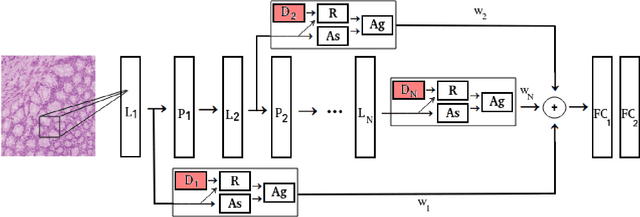 Figure 2 for Deep Multi-Resolution Dictionary Learning for Histopathology Image Analysis