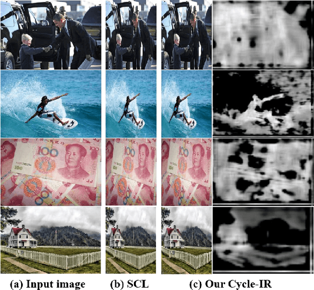 Figure 4 for Cycle-IR: Deep Cyclic Image Retargeting