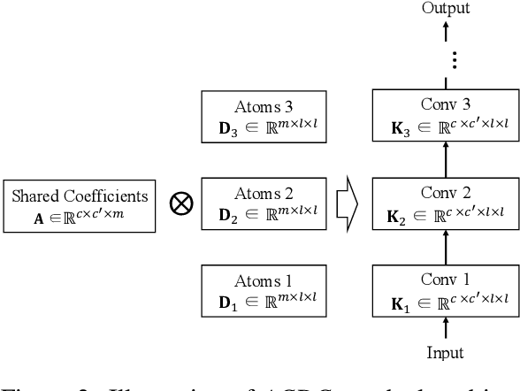 Figure 3 for ACDC: Weight Sharing in Atom-Coefficient Decomposed Convolution