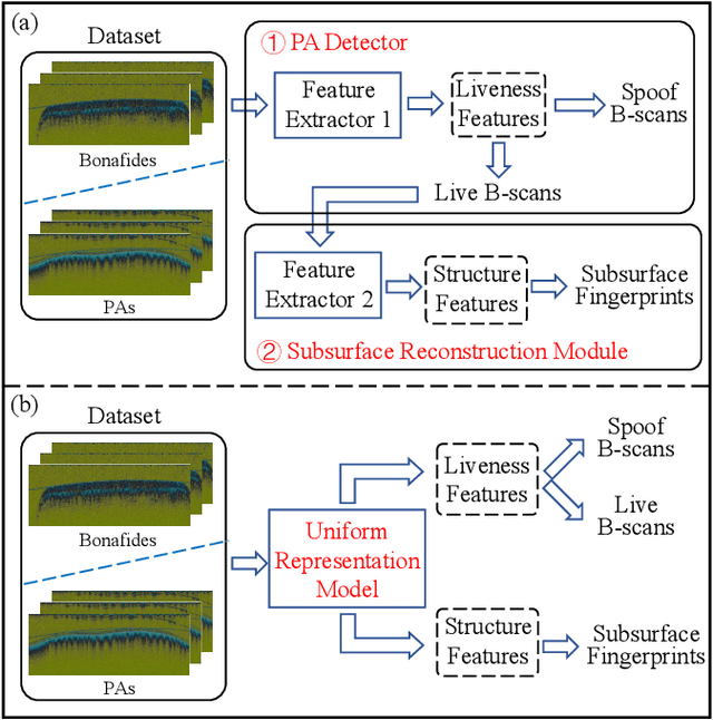 Figure 4 for A Uniform Representation Learning Method for OCT-based Fingerprint Presentation Attack Detection and Reconstruction