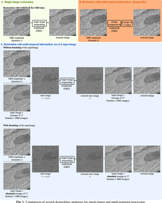 Figure 1 for Fast strategies for multi-temporal speckle reduction of Sentinel-1 GRD images