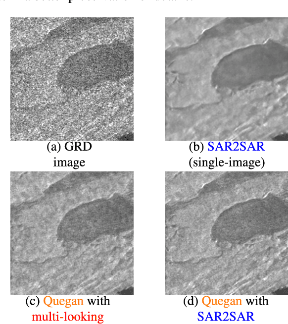 Figure 2 for Fast strategies for multi-temporal speckle reduction of Sentinel-1 GRD images