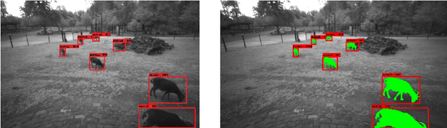 Figure 3 for Distance Estimation and Animal Tracking for Wildlife Camera Trapping