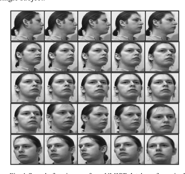 Figure 1 for SVM-based Multiview Face Recognition by Generalization of Discriminant Analysis