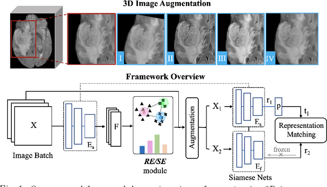 Figure 1 for Imbalance-Aware Self-Supervised Learning for 3D Radiomic Representations