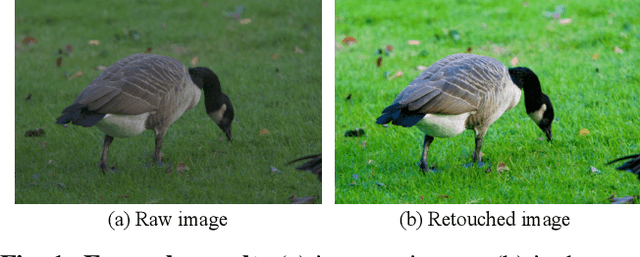 Figure 1 for A Coarse-to-Fine Framework for Learned Color Enhancement with Non-Local Attention