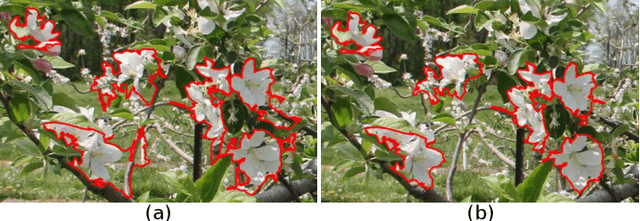 Figure 4 for Self-supervised Learning for Panoptic Segmentation of Multiple Fruit Flower Species