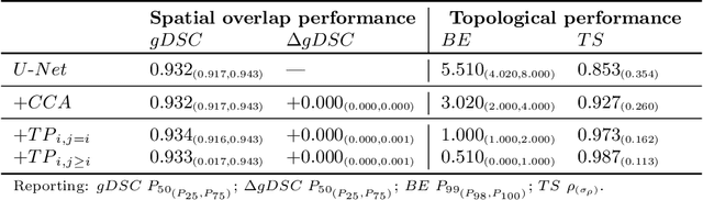 Figure 2 for A persistent homology-based topological loss for CNN-based multi-class segmentation of CMR