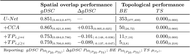 Figure 4 for A persistent homology-based topological loss for CNN-based multi-class segmentation of CMR