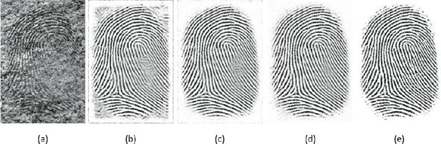 Figure 3 for U-Finger: Multi-Scale Dilated Convolutional Network for Fingerprint Image Denoising and Inpainting