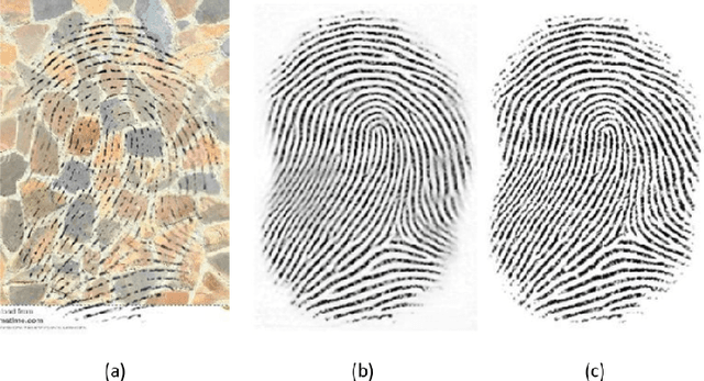 Figure 4 for U-Finger: Multi-Scale Dilated Convolutional Network for Fingerprint Image Denoising and Inpainting