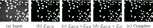Figure 3 for Few-Shot Microscopy Image Cell Segmentation