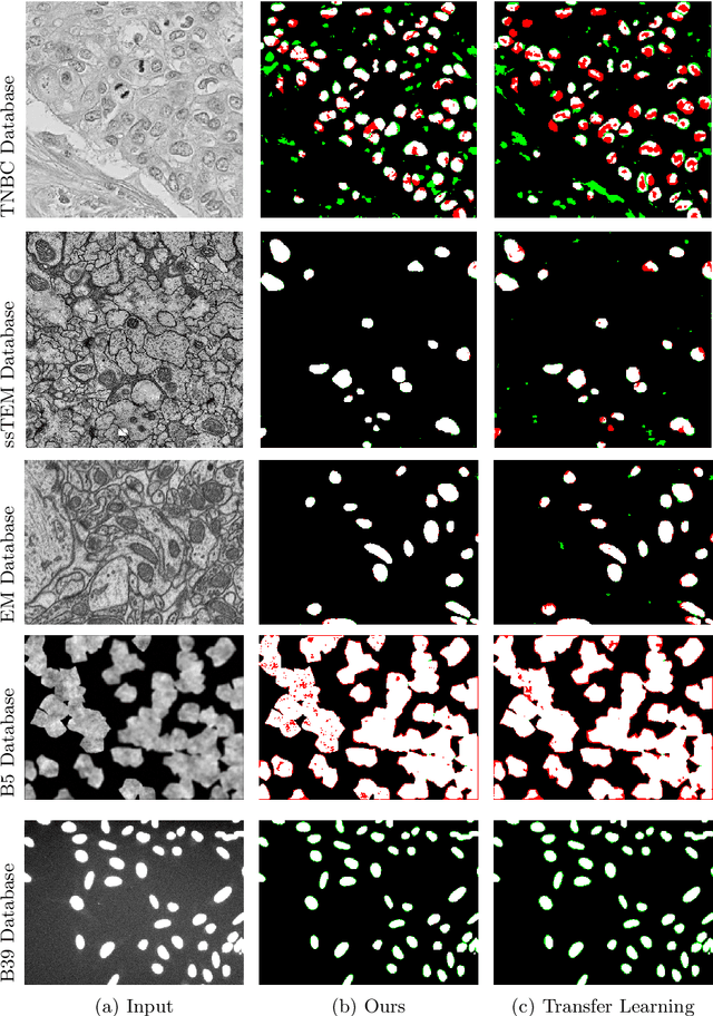 Figure 1 for Few-Shot Microscopy Image Cell Segmentation