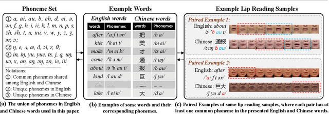 Figure 1 for Synchronous Bidirectional Learning for Multilingual Lip Reading