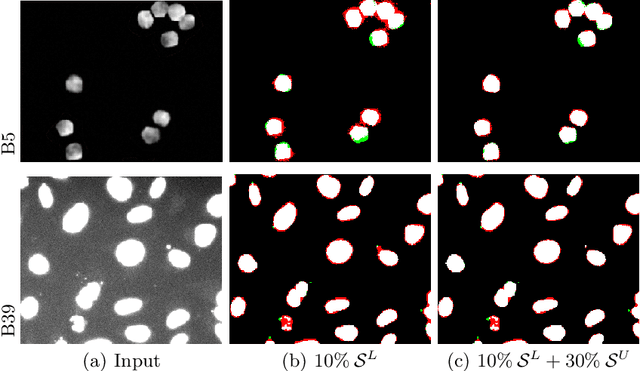 Figure 3 for Edge-Based Self-Supervision for Semi-Supervised Few-Shot Microscopy Image Cell Segmentation
