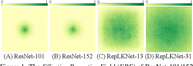 Figure 1 for Scaling Up Your Kernels to 31x31: Revisiting Large Kernel Design in CNNs