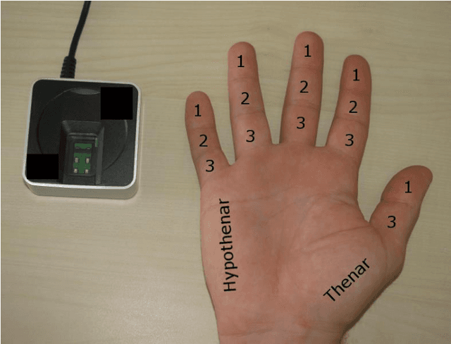 Figure 1 for Biometric Matching and Fusion System for Fingerprints from Non-Distal Phalanges