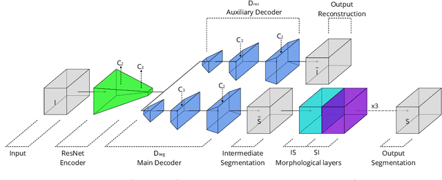 Figure 1 for Microvascular Dynamics from 4D Microscopy Using Temporal Segmentation