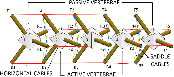 Figure 3 for Design, Simulation, and Testing of a Flexible Actuated Spine for Quadruped Robots