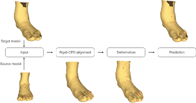 Figure 1 for Anatomical Landmarks Localization for 3D Foot Point Clouds