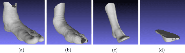 Figure 3 for Anatomical Landmarks Localization for 3D Foot Point Clouds