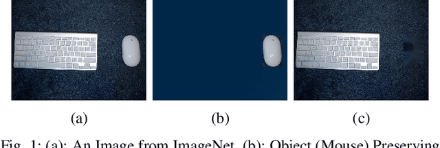 Figure 1 for Testing Deep Learning Models for Image Analysis Using Object-Relevant Metamorphic Relations