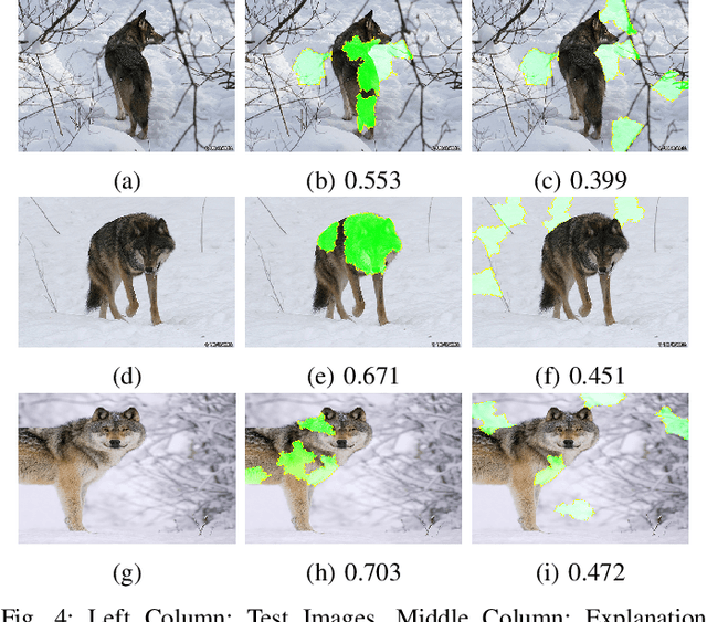 Figure 4 for Testing Deep Learning Models for Image Analysis Using Object-Relevant Metamorphic Relations