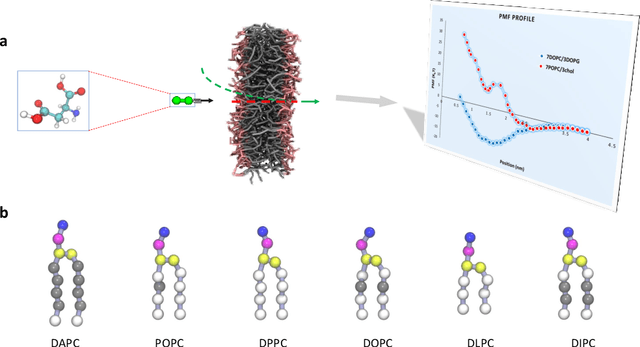 Figure 1 for DMInet: An Accurate and Highly Flexible Deep Learning Framework for Drug Discovery with Membrane Selectivity