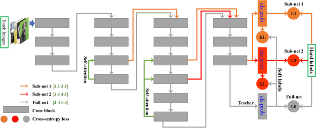Figure 2 for Embedded Knowledge Distillation in Depth-level Dynamic Neural Network