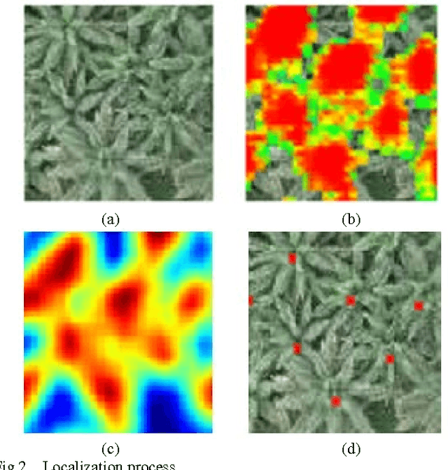 Figure 2 for Using Convolutional Neural Networks to Count Palm Trees in Satellite Images