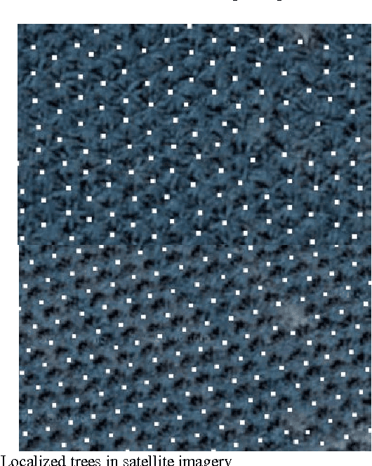 Figure 4 for Using Convolutional Neural Networks to Count Palm Trees in Satellite Images