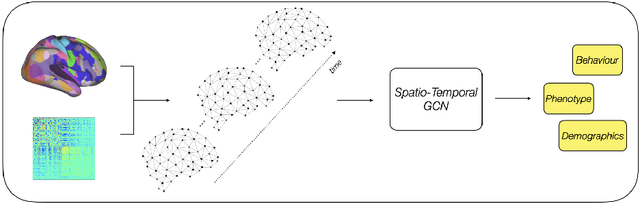 Figure 1 for Improving Phenotype Prediction using Long-Range Spatio-Temporal Dynamics of Functional Connectivity