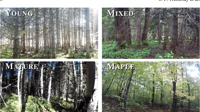 Figure 3 for Automatic 3D Mapping for Tree Diameter Measurements in Inventory Operations