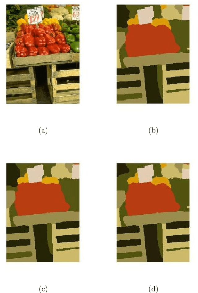 Figure 3 for New region force for variational models in image segmentation and high dimensional data clustering