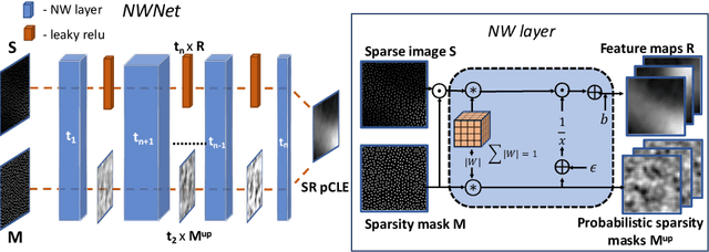 Figure 3 for Learning from Irregularly Sampled Data for Endomicroscopy Super-resolution: A Comparative Study of Sparse and Dense Approaches