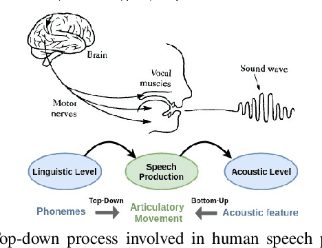 Figure 1 for A comparative study of estimating articulatory movements from phoneme sequences and acoustic features