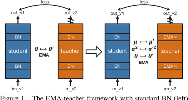 Figure 1 for Exponential Moving Average Normalization for Self-supervised and Semi-supervised Learning