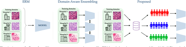 Figure 1 for Improving Multi-Domain Generalization through Domain Re-labeling