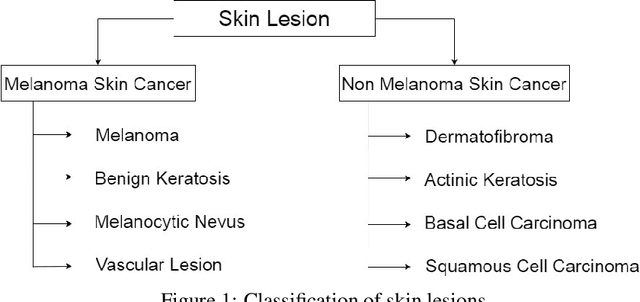 Figure 1 for Method to Classify Skin Lesions using Dermoscopic images