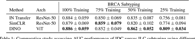 Figure 2 for Self-Supervised Vision Transformers Learn Visual Concepts in Histopathology